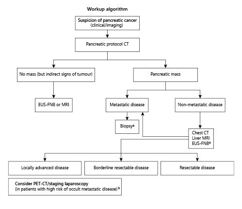 The Role of Endoscopic Ultrasound in Pancreatic Cancer Staging in the ...