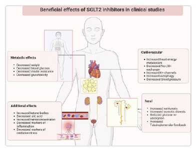 The emerging landscape of SGLT2 inhibitors in pediatric populations ...