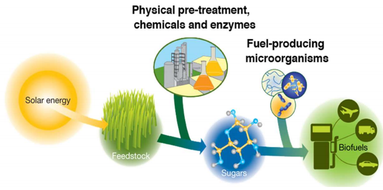 Pretreatment of Lignocellulosic Waste MaterialConversion into Biofuel ...