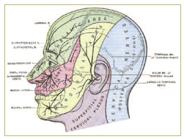 Multidermatomal Quando a atipia desafia o diagnóstico: relato de um caso de herpes zoster